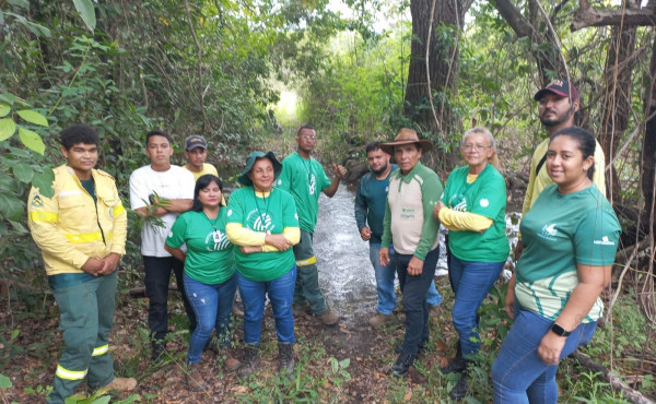 naturatins-fortalece-acoes-ambientais-com-curso-de-recuperacao-de-nascentes-no-parque-estadual-do-cantao