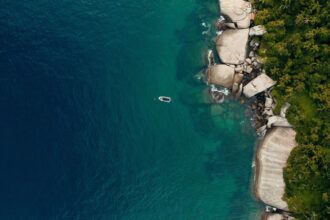 tv-brasil-exibe-documentario-com-iniciativas-de-preservacao-da-costa