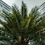 pf-adia-depoimentos-de-tres-investigados-no-inquerito-do-banco-master