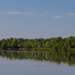 naturatins-define-novas-regras-para-medicao-e-automonitoramento-do-uso-da-agua-no-tocantins