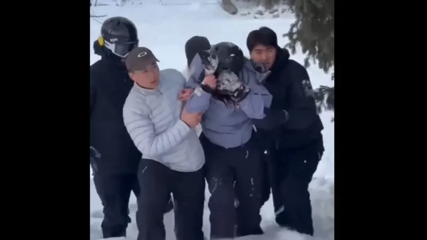turista-e-atacada-por-leopardo-das-neves-em-parque-da-china;-veja