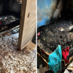 mulher-desabafa-apos-suspeita-de-que-ex-namorado-tenha-incendiado-sua-casa:-‘conquistei-com-tanto-suor’