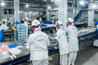 governo-do-tocantins-orienta-estabelecimentos-com-registro-no-servico-de-inspecao-estadual-a-realizarem-recadastramento-ate-31-de-marco