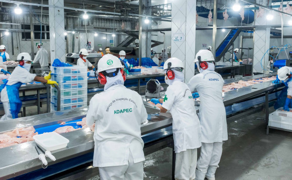 governo-do-tocantins-orienta-estabelecimentos-com-registro-no-servico-de-inspecao-estadual-a-realizarem-recadastramento-ate-31-de-marco