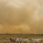 janeiro-tem-numero-de-focos-de-calor-duas-vezes-maior-que-a-media