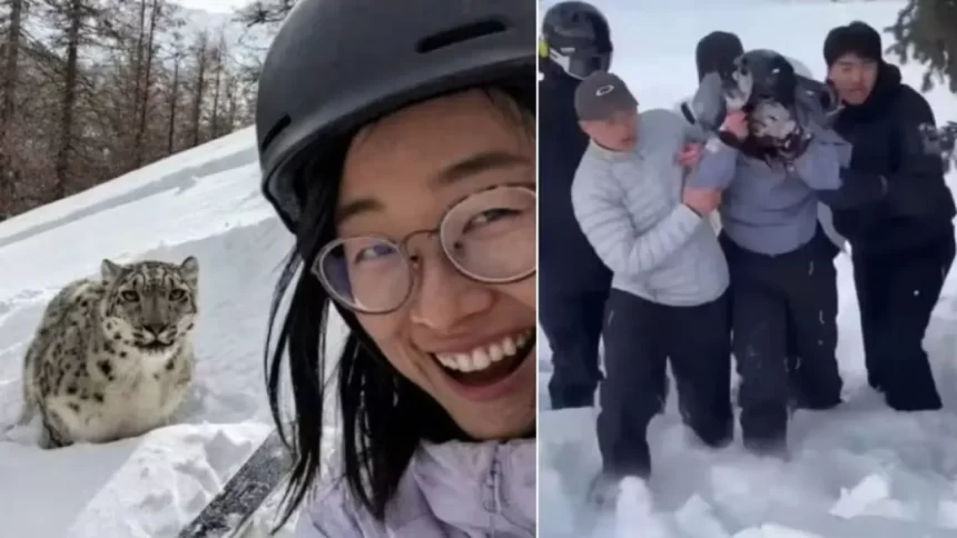 divulgada-selfie-de-turista-antes-de-ser-atacada-por-leopardo-das-neves