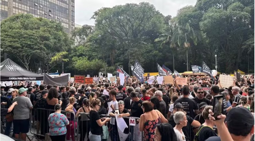 justica-por-orelha:-morte-de-cao-mobiliza-protestos-em-capitais-brasileiras
