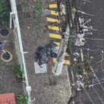 pedestre-idosa-morre-apos-ser-atingida-por-galho-de-arvore-em-niteroi