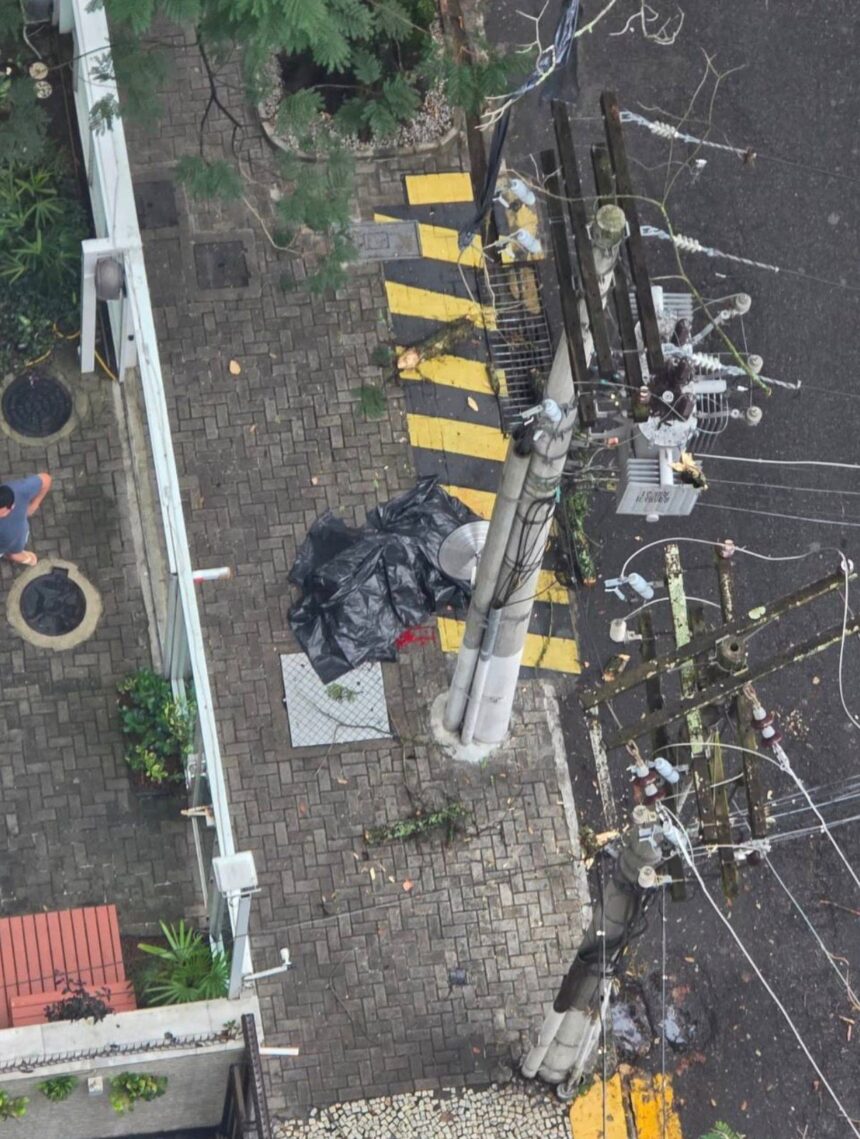 pedestre-idosa-morre-apos-ser-atingida-por-galho-de-arvore-em-niteroi