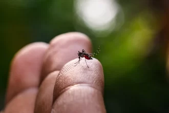 estudo-explica-diferenca-de-sintomas-entre-febre-do-oropouche-e-dengue