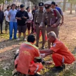 elefante-ataca-e-mata-turista-na-tailandia;-e-a-terceira-vitima-do-animal