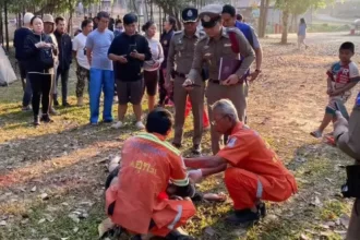 elefante-ataca-e-mata-turista-na-tailandia;-e-a-terceira-vitima-do-animal