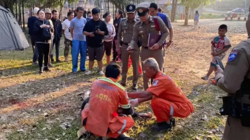 elefante-ataca-e-mata-turista-na-tailandia;-e-a-terceira-vitima-do-animal