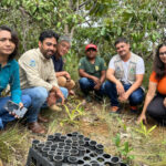 naturatins-e-unitins-reintroduzem-especie-de-bromelia-na-natureza-em-acao-de-conservacao-ambiental