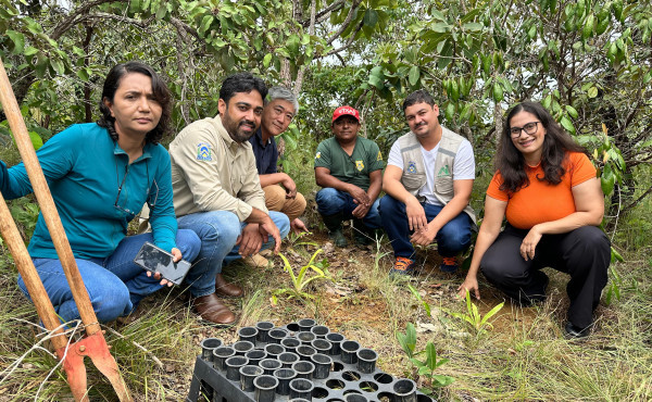 naturatins-e-unitins-reintroduzem-especie-de-bromelia-na-natureza-em-acao-de-conservacao-ambiental