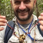fungo-do-“the-last-of-us”-e-identificado-em-tarantula-na-amazonia