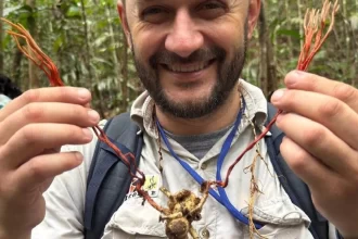 fungo-do-“the-last-of-us”-e-identificado-em-tarantula-na-amazonia
