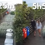 veja-jovem-voltando-para-casa-apos-agredir-cao-orelha