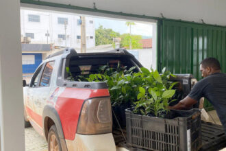 naturatins-realiza-doacao-de-500-mudas-para-preservacao-e-reflorestamento-do-cerrado