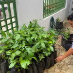 naturatins-fortalece-acoes-do-projeto-saberes-tradicionais-e-sustentabilidade-no-municipio-de-pium