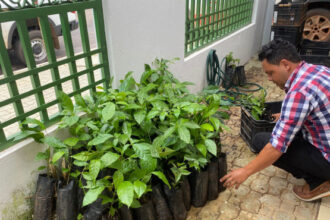 naturatins-fortalece-acoes-do-projeto-saberes-tradicionais-e-sustentabilidade-no-municipio-de-pium