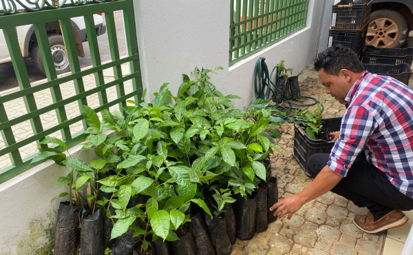 naturatins-fortalece-acoes-do-projeto-saberes-tradicionais-e-sustentabilidade-no-municipio-de-pium