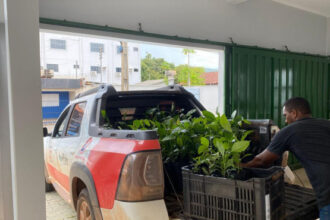 naturatins-realiza-doacao-de-500-mudas-para-preservacao-e-reflorestamento-do-cerrado