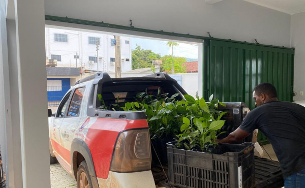 naturatins-realiza-doacao-de-500-mudas-para-preservacao-e-reflorestamento-do-cerrado