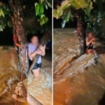 mulher-e-resgatada-pelo-corpo-de-bombeiros-apos-ficar-ilhada-e-se-agarrar-em-arvore-no-to;