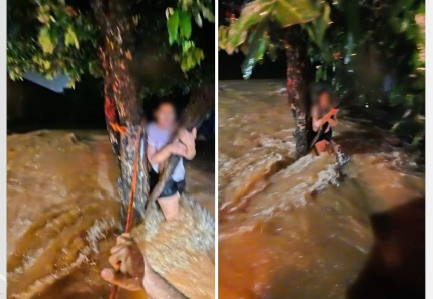 mulher-e-resgatada-pelo-corpo-de-bombeiros-apos-ficar-ilhada-e-se-agarrar-em-arvore-no-to;