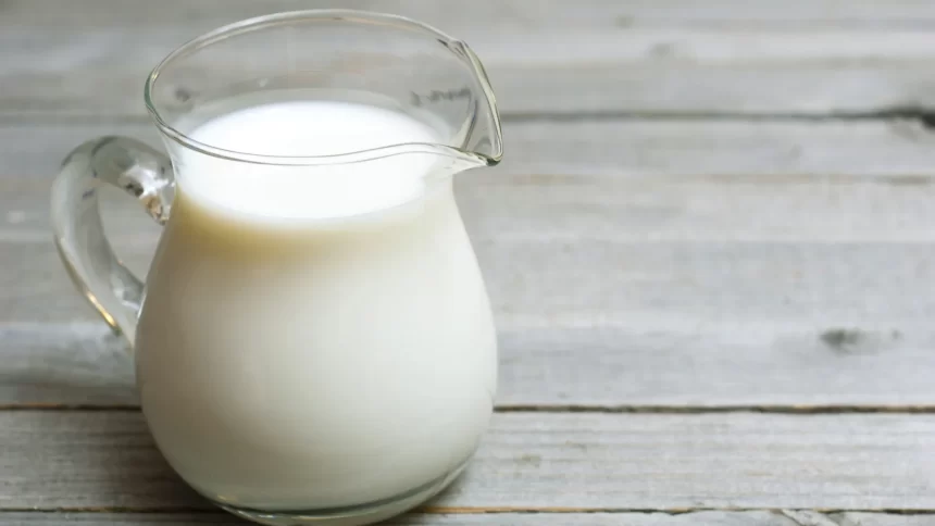 alimentos-que-nunca-devem-ser-consumidos-crus