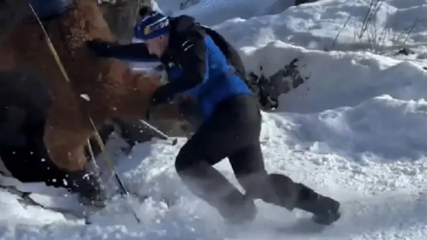 brasileiro-e-espancado-em-estacao-de-esqui-na-franca;-video