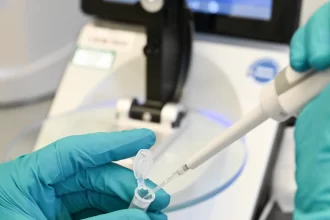 cientistas-descobrem-ser-vivo-que-nao-se-encaixa-em-categorias-conhecidas