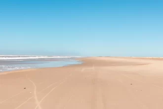 em-pre-carnaval,-litoral-de-sp-tem-38-praias-improprias-para-banho