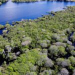 governo-lanca-edital-para-combate-ao-desmatamento-na-amazonia