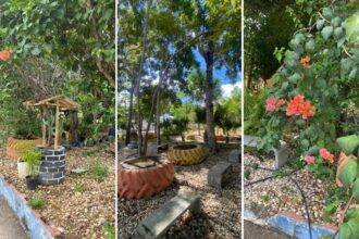 iniciativa-sustentavel:-pracas-e-enfeites-feitos-com-reciclaveis-atraem-olhares-em-cidade-no-tocantins