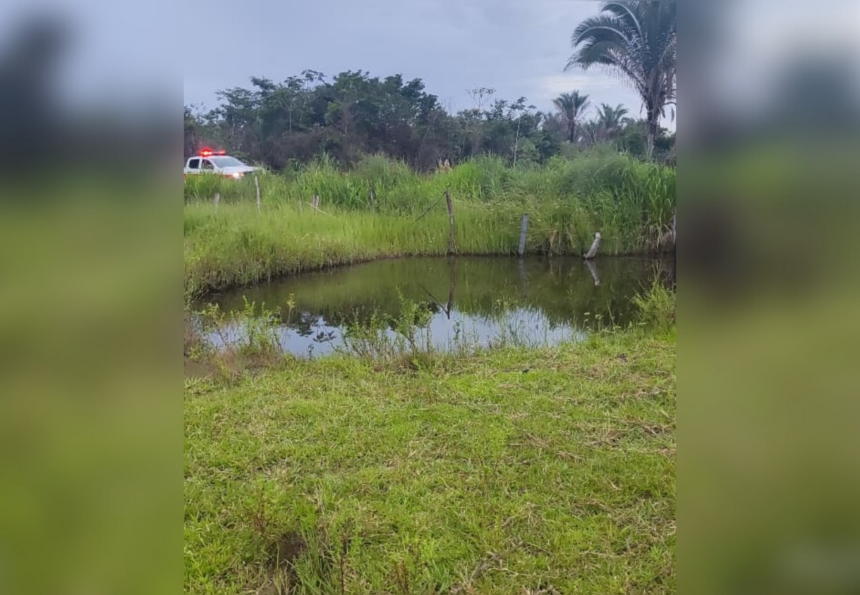 idoso-morto-por-abelhas-no-to-foi-atacado-por-enxame-migratorio-enquanto-trabalhava-em-pastagem