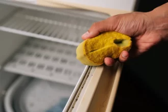 como-limpar-a-borracha-da-geladeira-e-evitar-mofo;-veja-as-dicas
