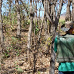 itertins-inicia-novo-mutirao-de-atendimentos-em-combinado