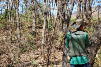 itertins-inicia-novo-mutirao-de-atendimentos-em-combinado