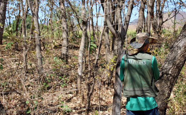 itertins-inicia-novo-mutirao-de-atendimentos-em-combinado
