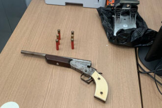 em-araguaina,-policia-civil-cumpre-mandado-de-busca,-apreende-arma-artesanal-e-prende-homem-em-flagrante