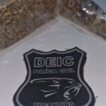 operacao-protetor:-policia-civil-cumpre-mandados-de-busca-e-prende-homem-em-flagrante-por-trafico-de-drogas-em-araguacu