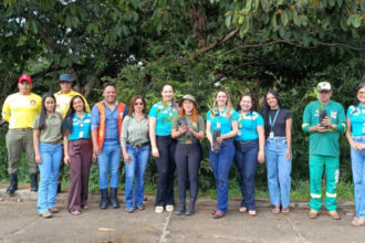 naturatins-fortalece-acoes-de-preservacao-ambiental-com-plantio-de-180-mudas-em-pium