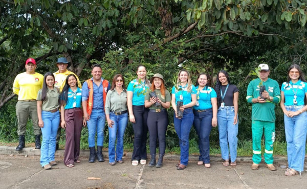 naturatins-fortalece-acoes-de-preservacao-ambiental-com-plantio-de-180-mudas-em-pium