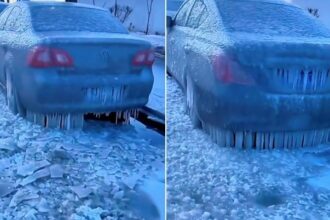 vazamento-de-agua-em-frio-extremo-cria-esculturas-em-volta-de-carros-estacionados