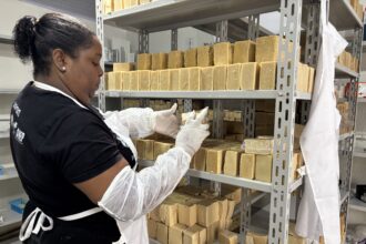 carnaval-sustentavel:-camarote-da-sapucai-usa-sabao-ecologico-produzido-na-mangueira-em-cozinhas-e-banheiros