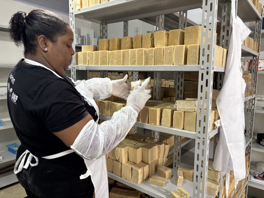 carnaval-sustentavel:-camarote-da-sapucai-usa-sabao-ecologico-produzido-na-mangueira-em-cozinhas-e-banheiros