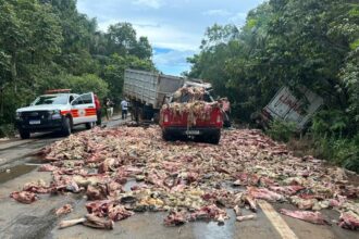 acidente-entre-caminhoes-e-carros-deixa-um-morto,-feridos-e-espalha-carne-na-br-010,-no-tocantins