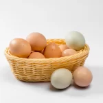 os-ovos-tem-prazo-de-validade?-e-como-saber-se-estao-estragados?